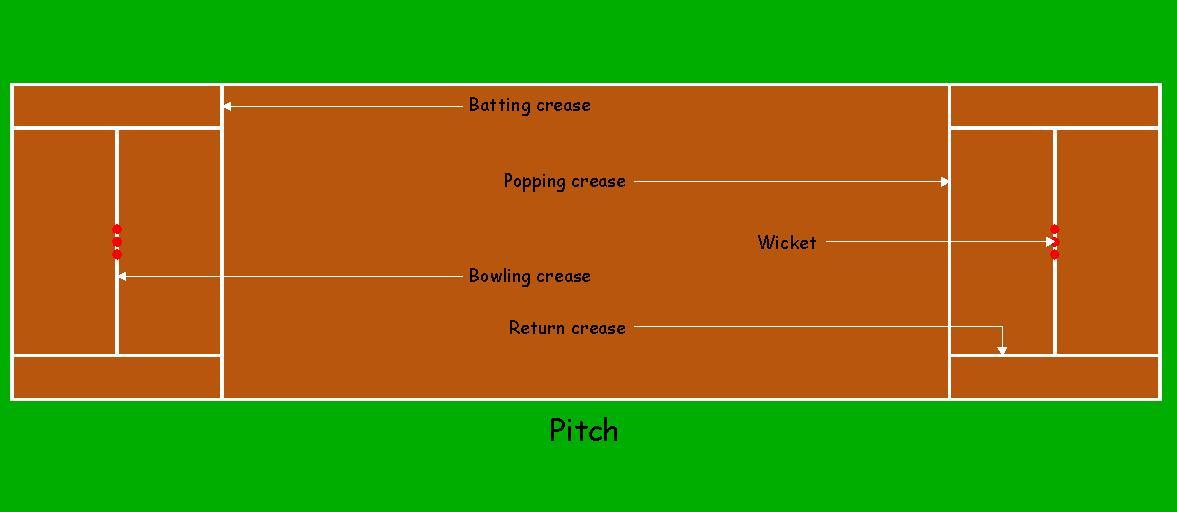 Fantasy cricket app interface